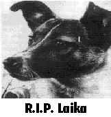 Laika